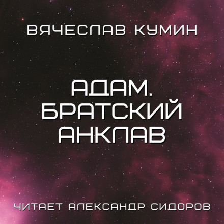 Adam. Brotherhood Enclave