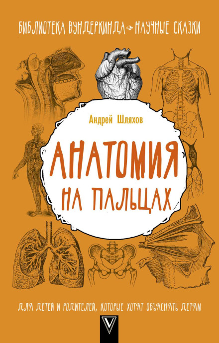 Anatomy on Your Fingers. For Children and Parents Who Want to Explain Things to Children