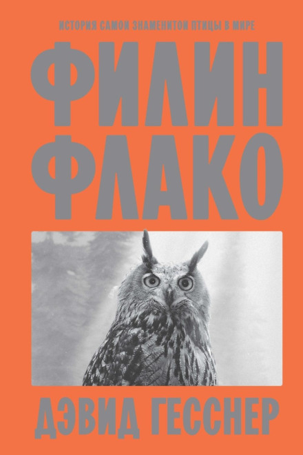 Flaco the Owl: The Story of the World's Most Famous Bird