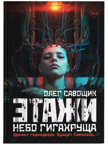 Поверхи. Небо Гігахруща