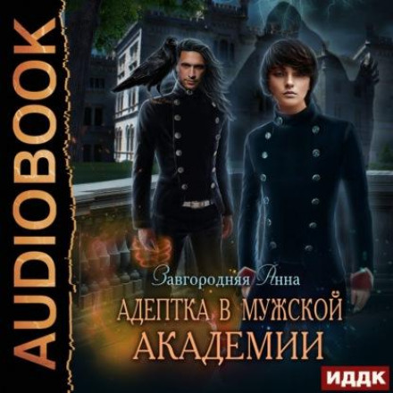 The Adept Girl in the Men's Academy