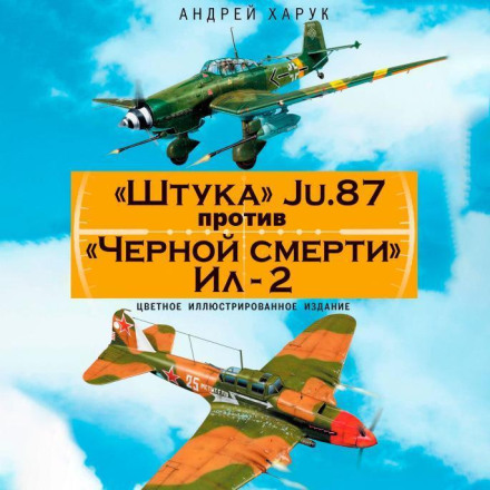 "Stuka" Ju.87 vs "Black Death" Il-2