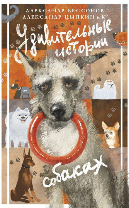 Amazing Stories About Dogs