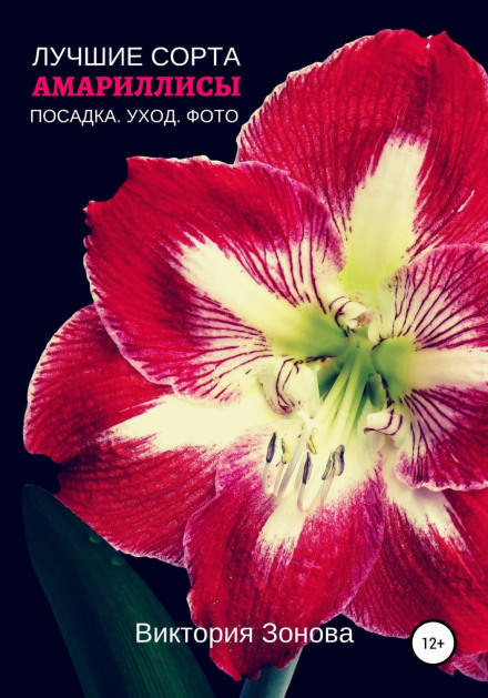 Amaryllis. The Best Varieties